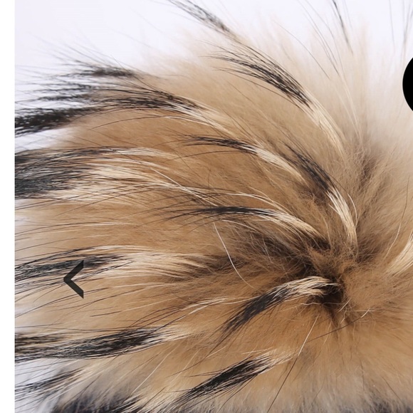 BOGNER
Pom Pom Cable Knit Wool Beanie - Picture 2 of 3